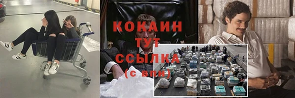 дурь Медвежьегорск