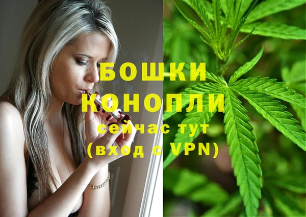 дурь Медвежьегорск