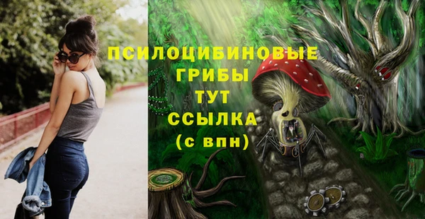 MDMA Медногорск