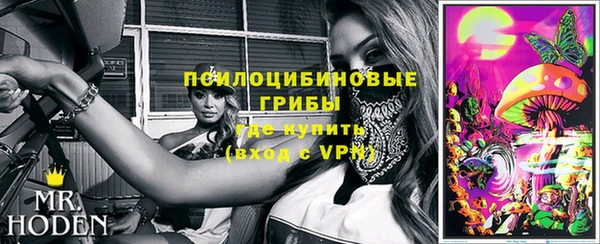 дурь Медвежьегорск