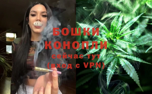 дурь Медвежьегорск