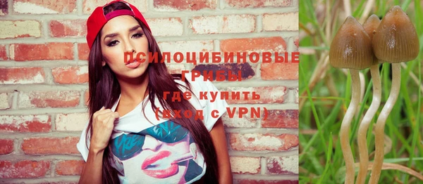 дурь Медвежьегорск