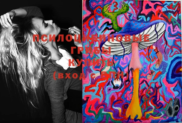 дурь Медвежьегорск