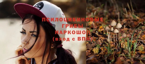 дурь Медвежьегорск