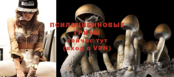 дурь Медвежьегорск