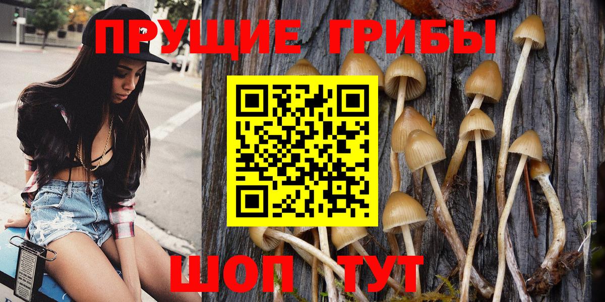 как найти закладки  Галлюциногенные грибы Psilocybine cubensis  Вход с VPN  Строитель 